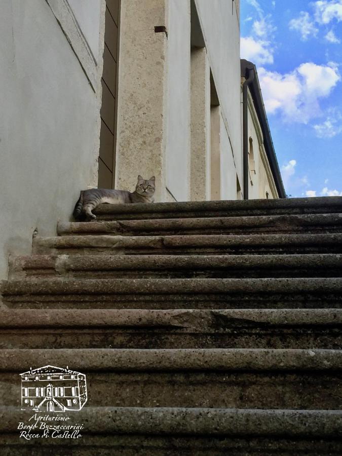 Agriturismo Borgo Buzzaccarini Rocca Di Castello Монселиче Екстериор снимка